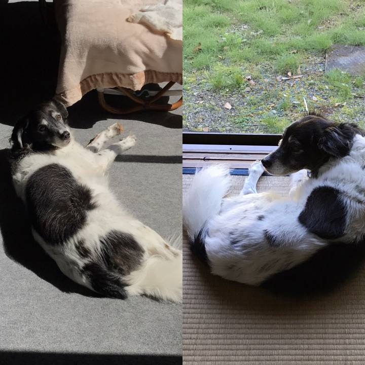 6feb4434 43ce 43ff 9e14 507482201eff 1539441584660