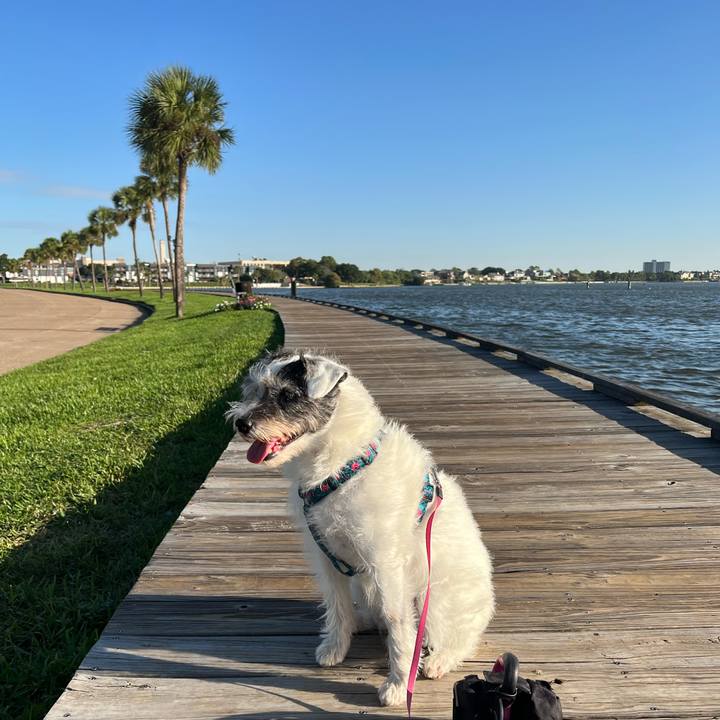 6feb54f9 2fce 41f9 8cac 51029d4f91cc 1697322933161