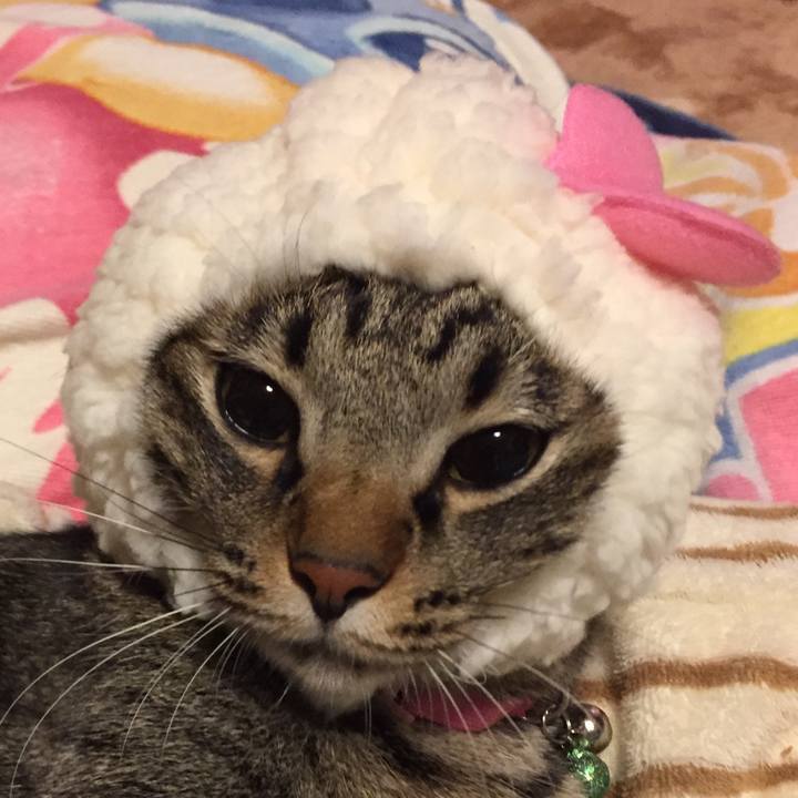 6feb7864 2014 4666 8d84 b5eab24f8cc6 1514633966584