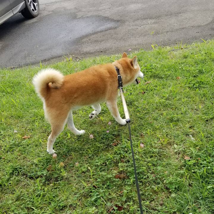 6feb7c86 05d7 4dad 8720 fafe5bd2a3f3 1662703651877