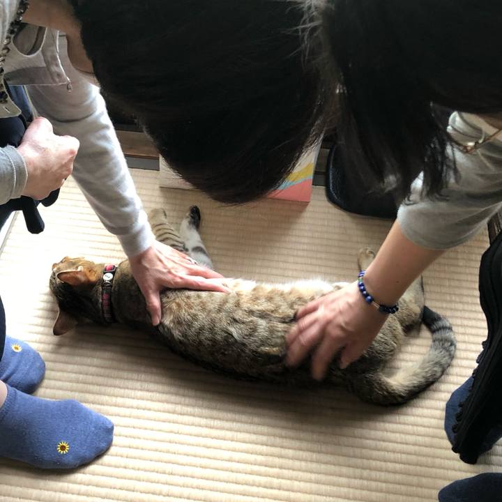 6feb8286 e6af 4057 a066 1a6e33842f7b 1619757140623