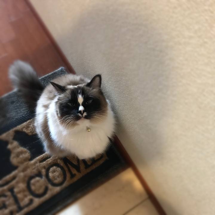 6feb9807 8907 4dc9 bbdf b9fc02a2e3bb 1518672082335