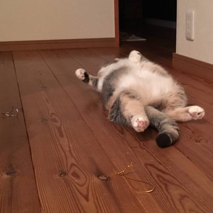 6febb41f 856f 4661 9892 e44a111f5aa8 1543107101747