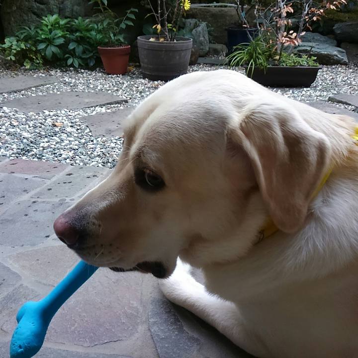 6febc510 999a 4d22 b327 be82ba556946 1510985925991