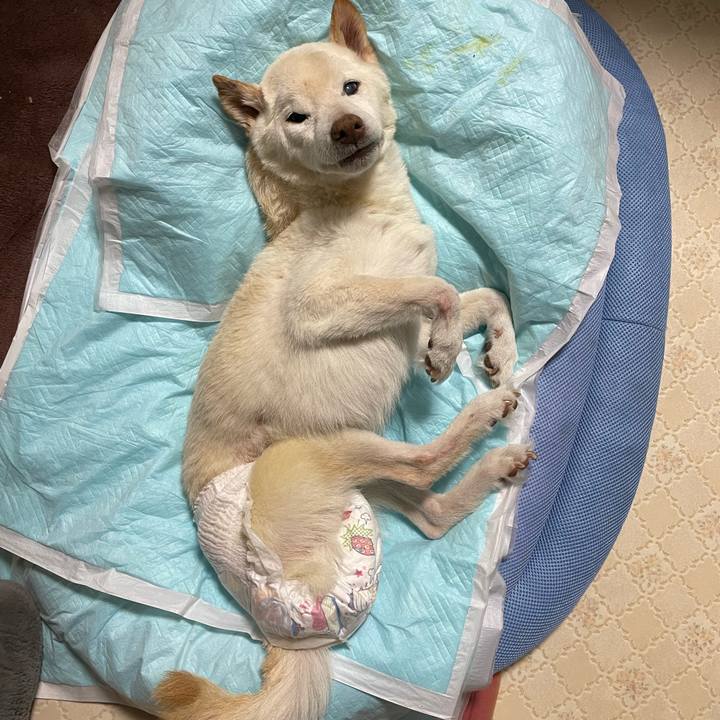 6febd7a0 e291 4fff b22e f633a230d232 1680675497682