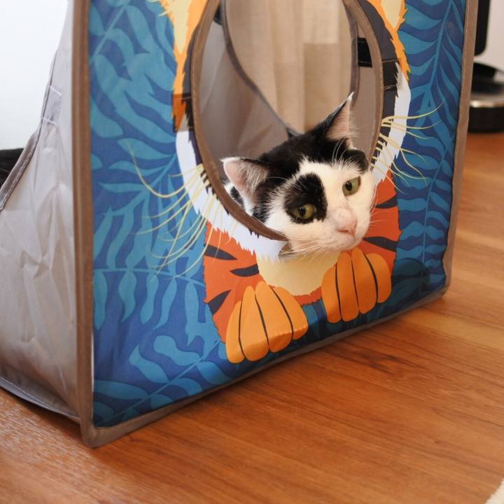 6febd8a7 c85d 404a a9ba 76f38dab2cfb 1558827744521