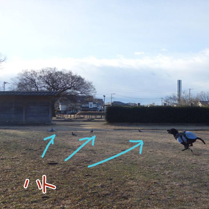 6fec29e0 1a27 4305 ba58 bec324332655 1640916228564