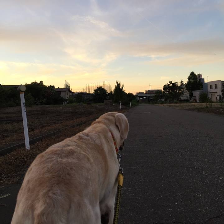 6fec30d3 7626 4dd7 b2b8 7fb91cbcae7a 1534589711338