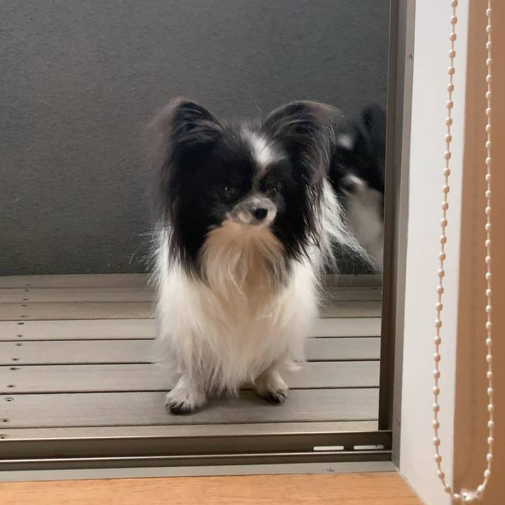 6fec3317 ba83 4bf0 92d2 b71255837b4e 1585383311293