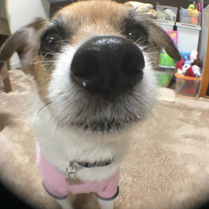 6fec3cd2 98f7 43fb 890a 7e509ed1c768 1525180993789