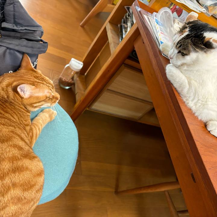 6fec478f 023c 49cb adad 3589a9464734 1754526873888