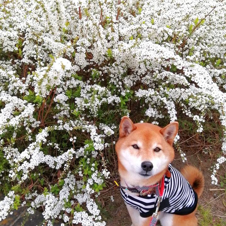 6fec6bc7 4007 4a62 b2d2 0ba49e025650 1647872696587