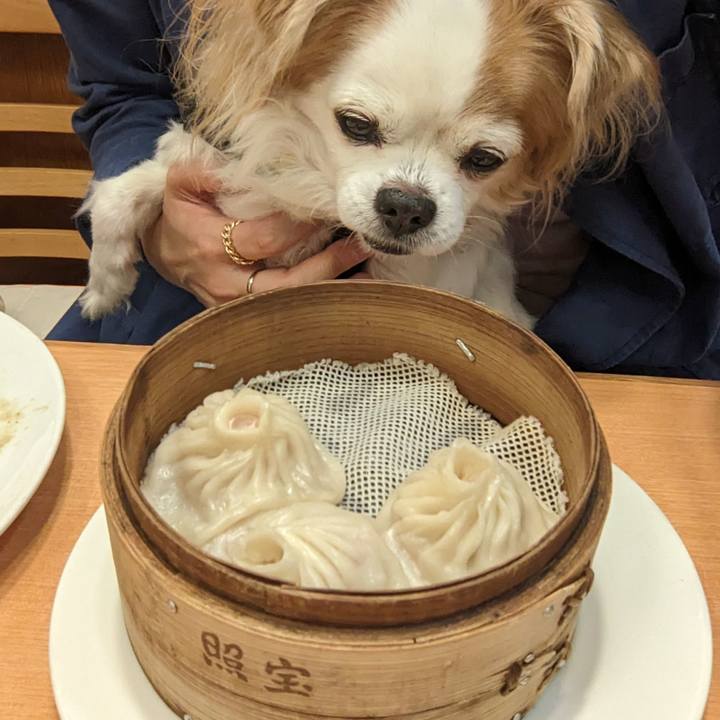 6fec839b 554d 4362 a2ff 3a7d408d1748 1680239659185