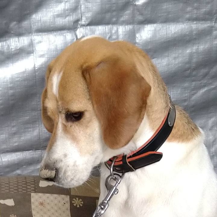 6fec9f7b d443 40be b41c e531063750b6 1627304107373