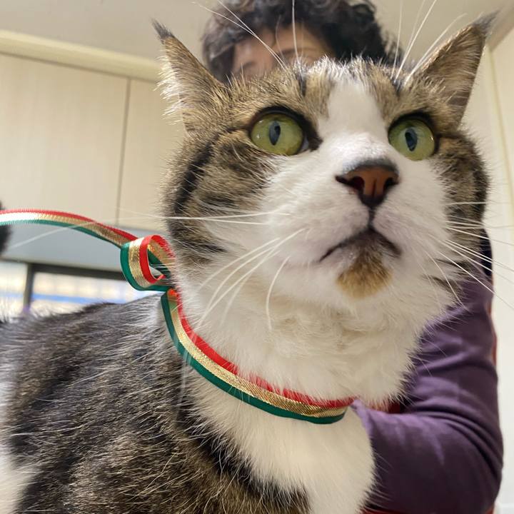 6fecabb9 fb61 42a8 8390 eec260587e81 1638177746343