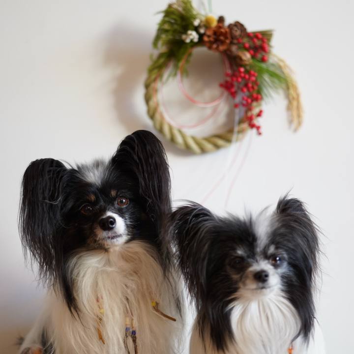 6fecabfa c537 4902 add9 4fc2316f1ec9 1672528672993