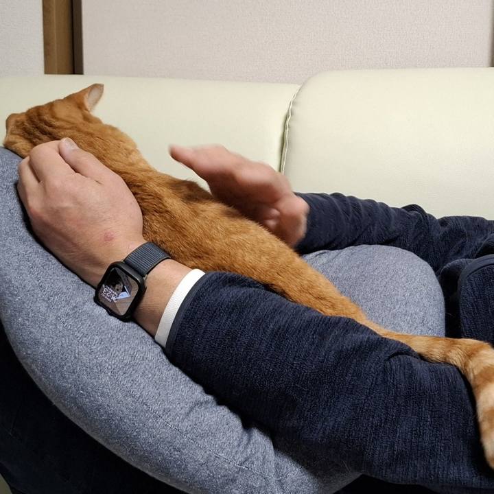 6fecb72c f555 47f5 ba76 96c6c57a3233 1739017961951