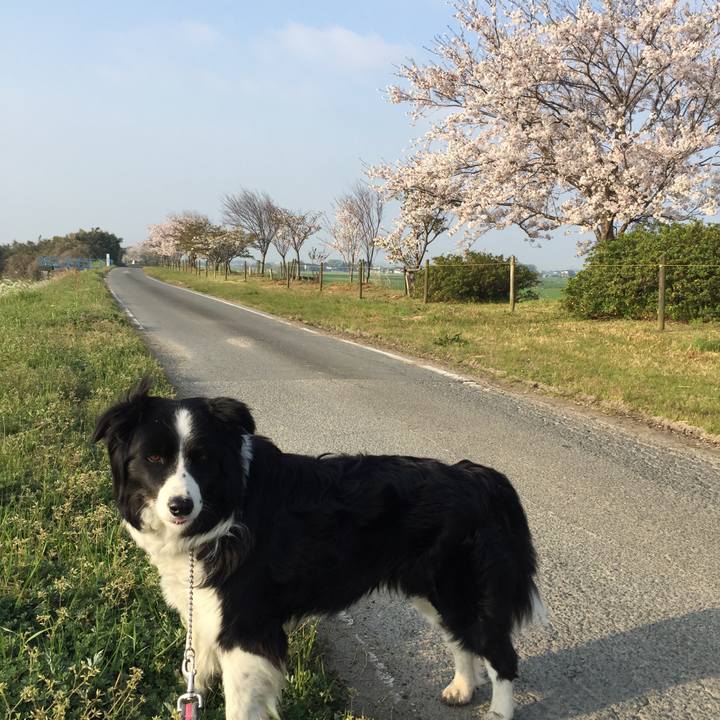 6fecc3cd 9a57 4c2f 9cbb 4f75676be8de 1554504105259