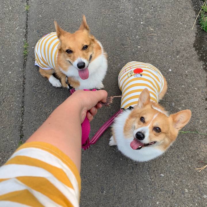 6fecca04 75f7 413e b486 b61470b833d0 1559987922476