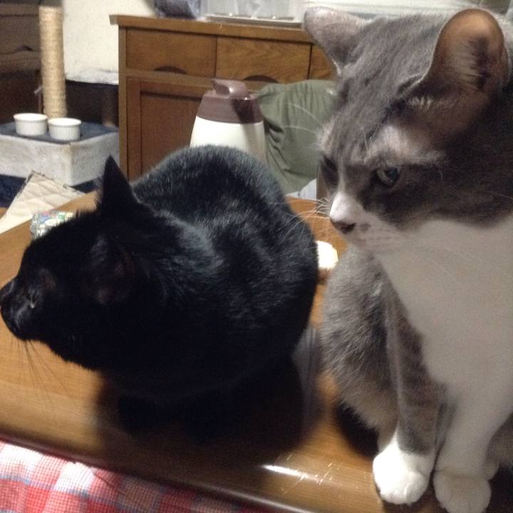 6fecd9dd 5d92 4750 baea fffc11ddb42d 1515415069715