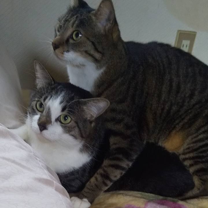 6fece690 edc1 4c91 b62f 20e86746d575 1665363600365