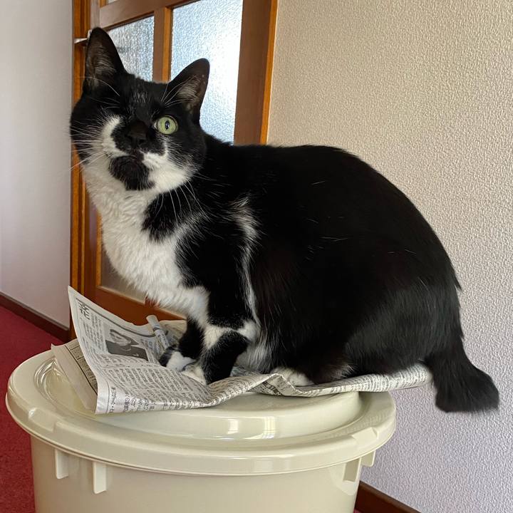 6fed0acd 9385 4037 88bc 813224801073 1669441176183