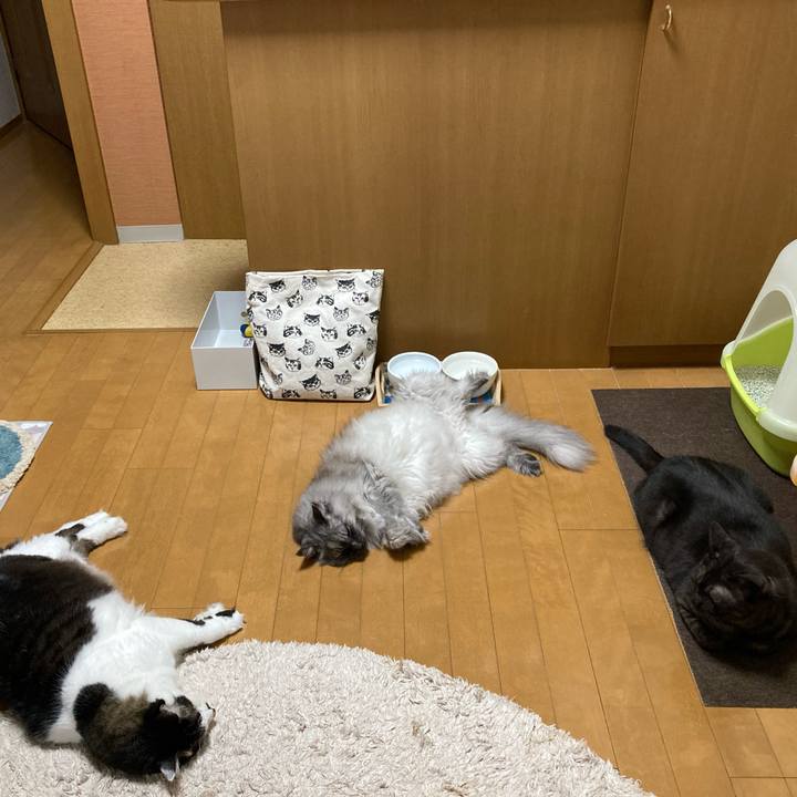 6fed9b04 3c45 41f6 a054 80561552d501 1713220749125