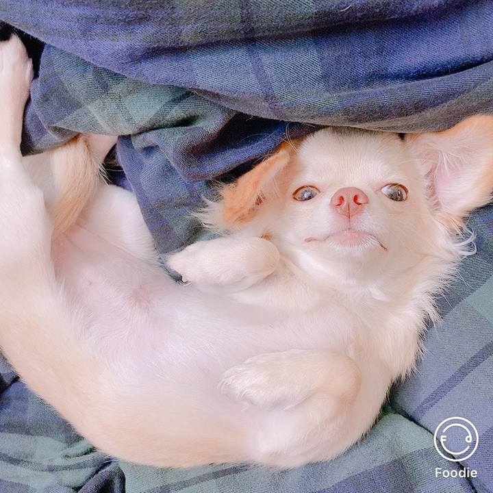 6fedc9e2 05a3 4a48 ab0f 09fbe38daa96 1600136058197