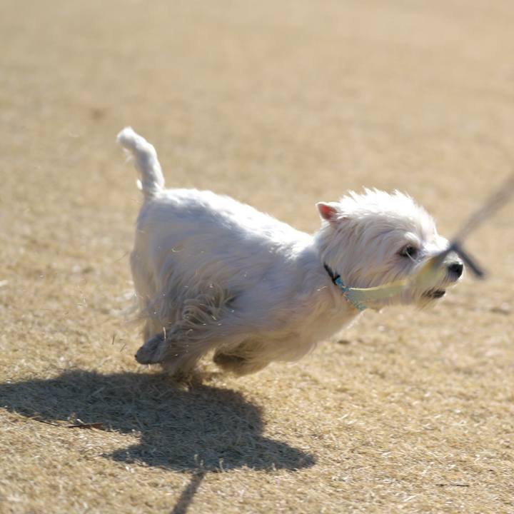 6fede52f 2a9d 4c32 a40d 19c467de5779 1519004931131