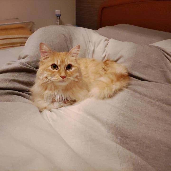 6fedfa9f 7ab2 4fda 9445 e9d404c72261 1683641883629