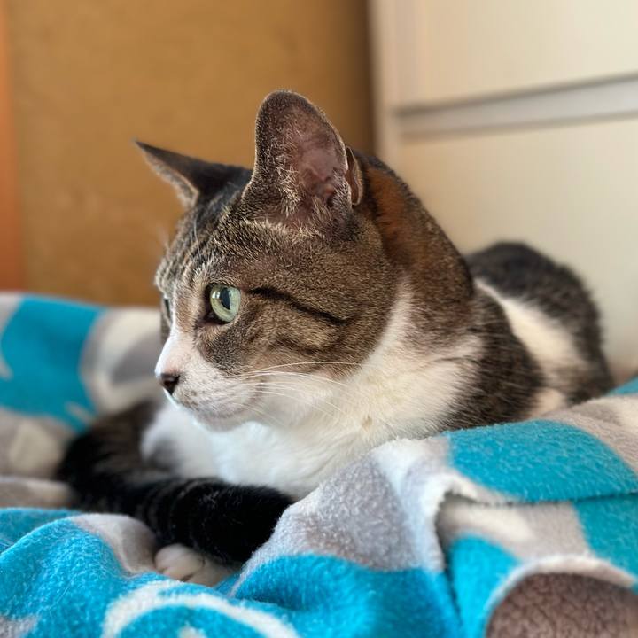 6fee010c 8de1 4d19 a171 8048e9c66e5d 1667526076017