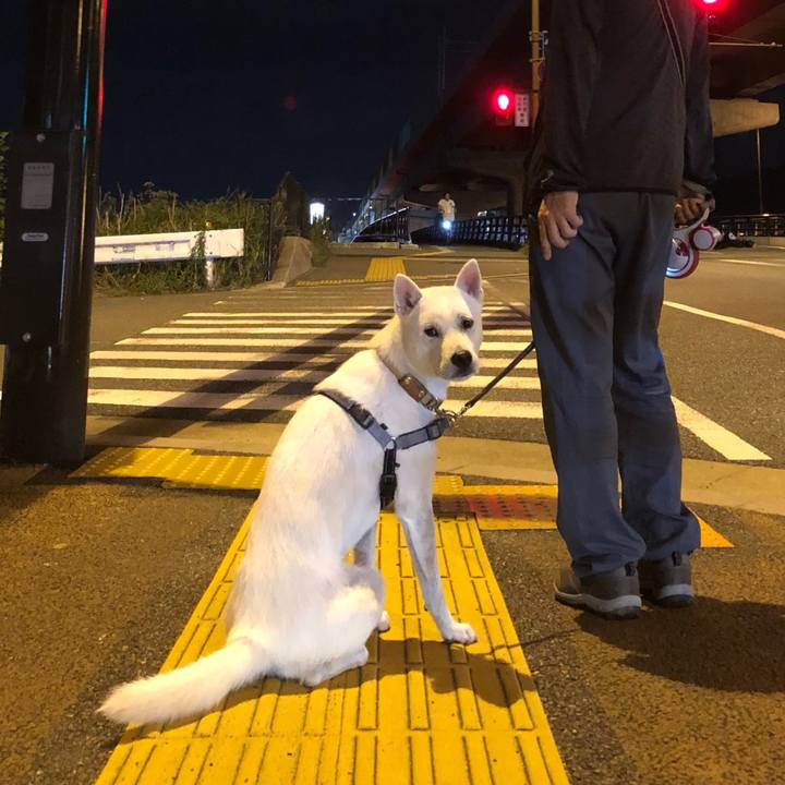 6fee0547 1722 4109 94dc 0a81bd156d2a 1537969771290