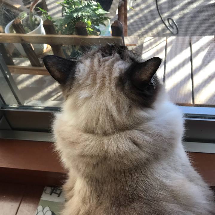 6fee169e 8b92 4700 8bff 8b9a3869fc98 1515105056042