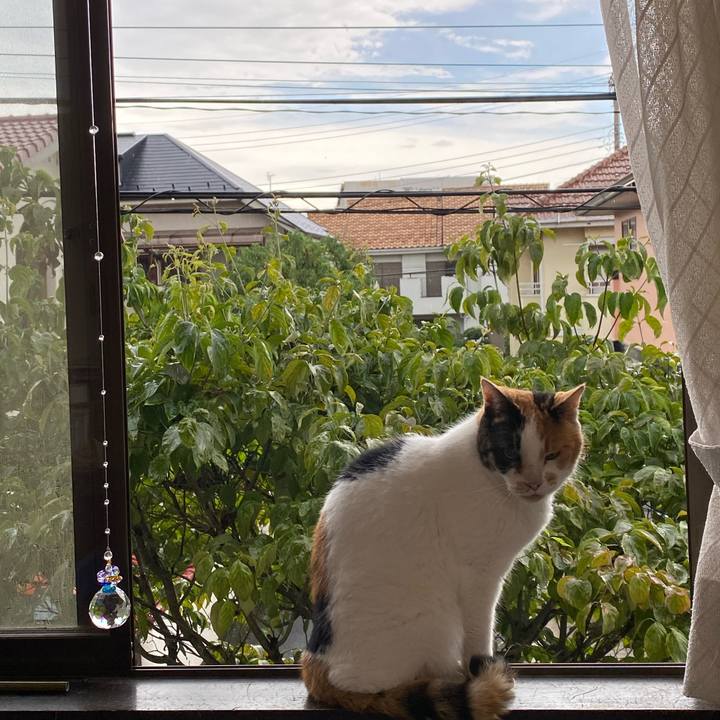 6fee2928 e75b 4759 8905 0bd5c74bbead 1595919085177