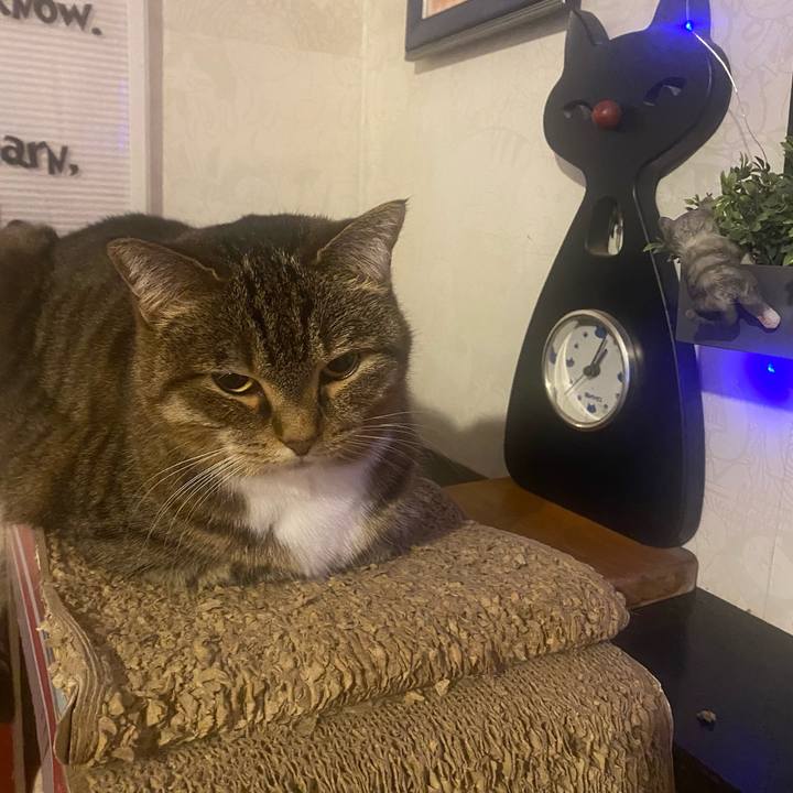 6fee59ba b26d 438d 9879 a47a900a8dcf 1672147190441