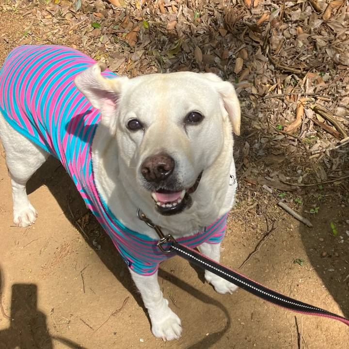 6fee80f6 6da0 4eba bfb5 73244e315580 1681262061296