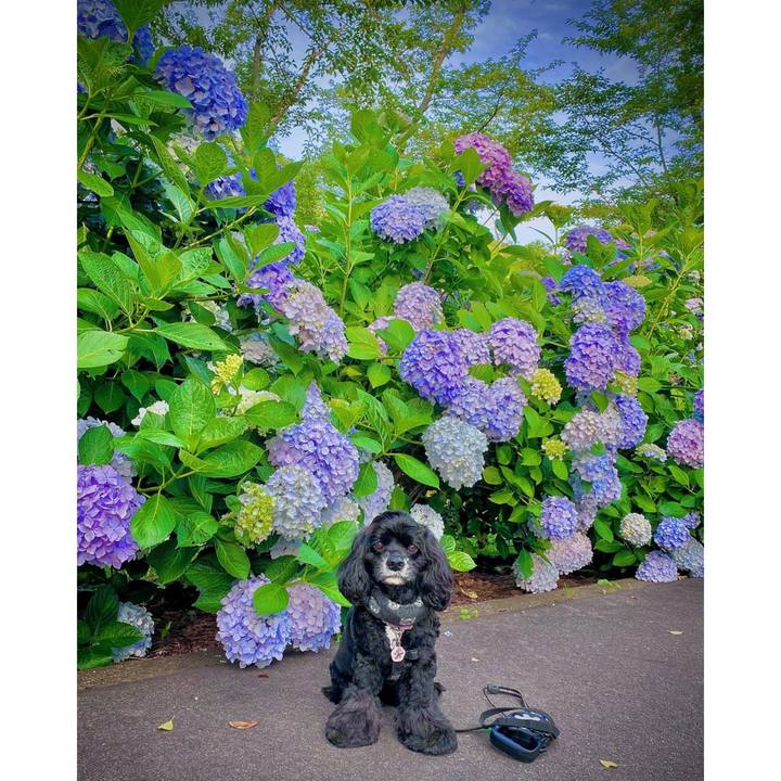 6feeb9a1 5887 4536 8c96 b235574bcbf2 1687160332722