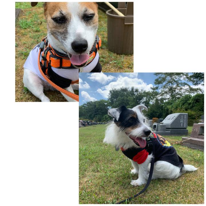 6feed65b 477f 4623 9fcd f8e832716289 1598410545454