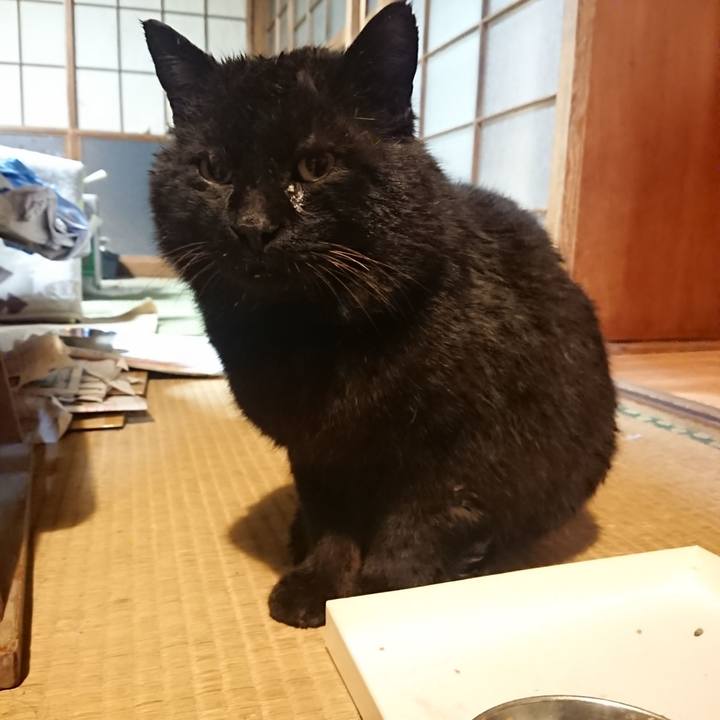 6feedd24 2884 4c40 a090 c67c6c3c0f14 1615804662310