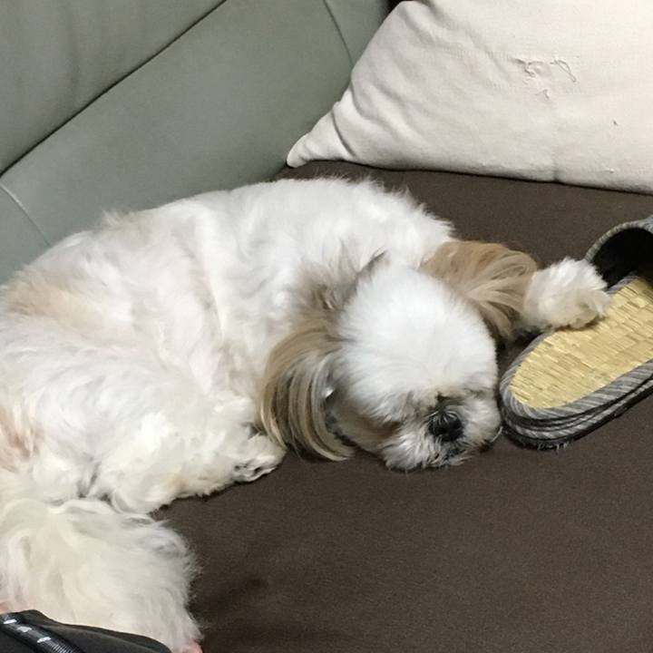 6fef4d73 6d4a 45d7 b59e 7edee01b9b2e 1599699683188