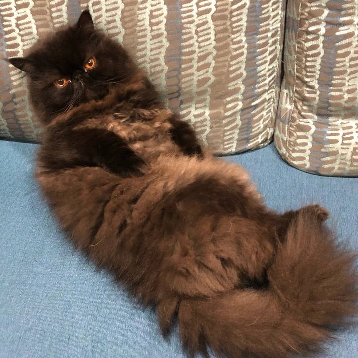 6fefce44 75c3 4f66 9b3d d82c39425526 1605017655490