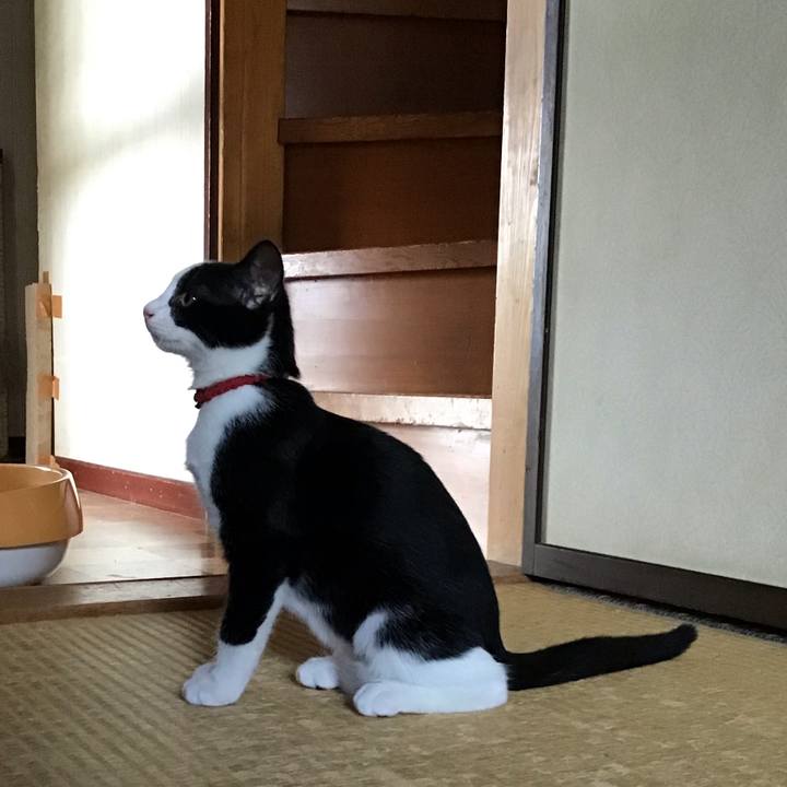 6fefd263 c5e7 471a 894d ec3443622fe4 1627702802739