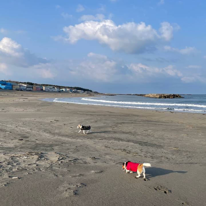 6ff03176 11dd 4b5d bcba 7f81d3370fa9 1710404108345