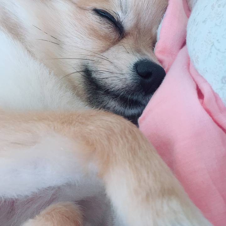 6ff0744d 25a5 4565 afbc 5ab8fdfb2a81 1522197023839