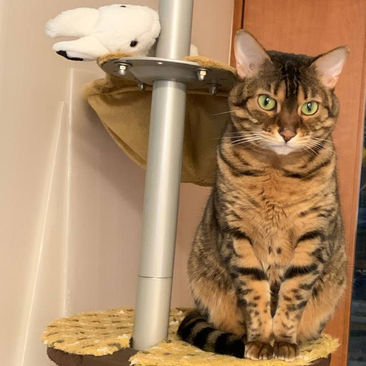 6ff075e5 fd95 4a23 a16f e1454bafed86 1586988579637