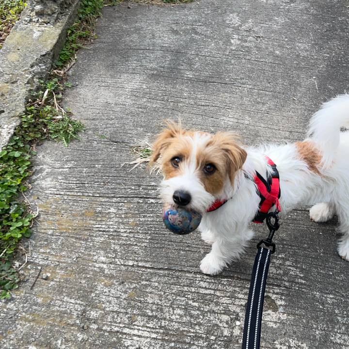 6ff080b1 79d3 4d91 ac54 f3e55f8465ad 1771125662986