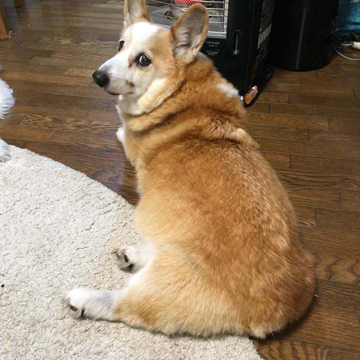 6ff0a9ca b45c 47c9 9f75 db52f476deba 1549320901524