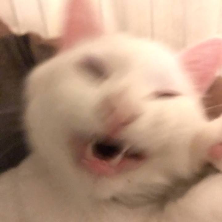 6ff0d508 0547 437b 8ce4 e59141e92cda 1553418760821