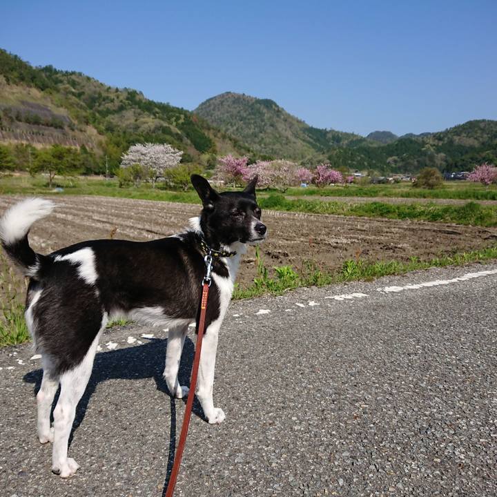 6ff0fe64 f41c 4a28 b60f 8b2b2aa49131 1524182548448