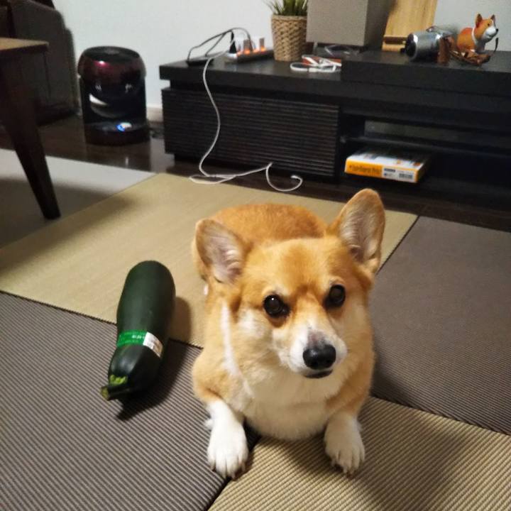 6ff15309 ce15 4b33 8a25 8cd7ccf60477 1598094441366